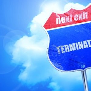 Writing Your Termination for Convenience Settlement Proposal - What You should Know